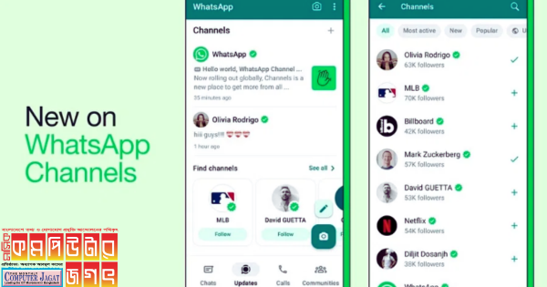 WhatsApp Channels Tool